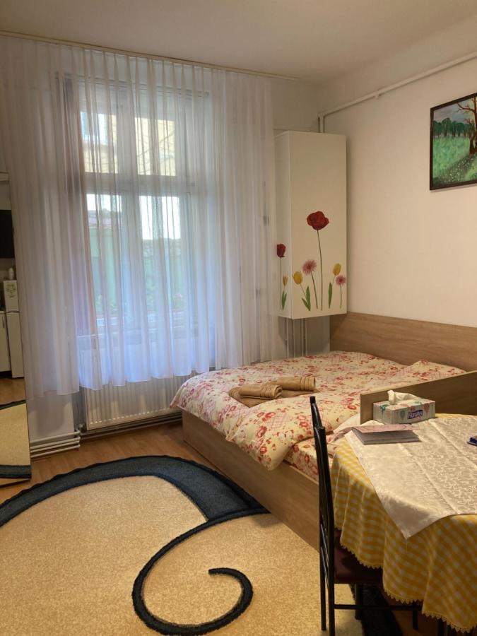 House Centrul Istoric Apartment Sibiu Ngoại thất bức ảnh