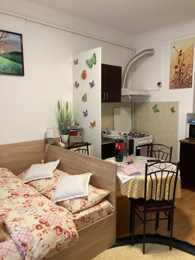 House Centrul Istoric Apartment Sibiu Ngoại thất bức ảnh